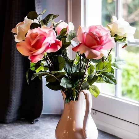 Rose House فندق مبيت وإفطار خنت
