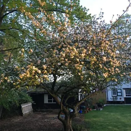 Bed & Breakfast Rose House Ghent