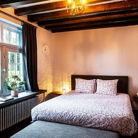 Rose House Bed & Breakfast