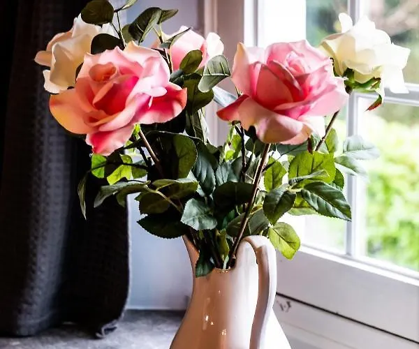 Rose House Bed & Breakfast Ghent