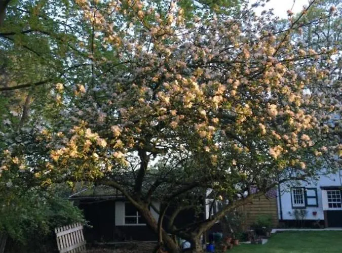 Alojamento de Acomodação e Pequeno-almoço Rose House Gante